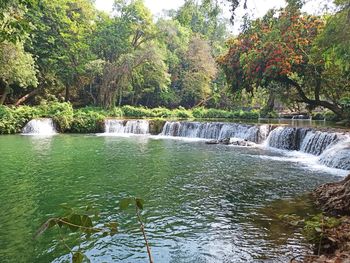 Scenic view of waterfall in forest