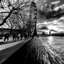 Trees in city against sky