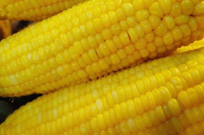 Full frame shot of yellow for sale