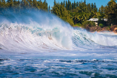 Scenic view wave crushing against beach 