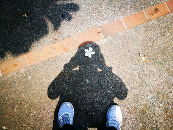 Low section of person standing on road