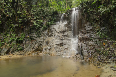 View of waterfall in forest