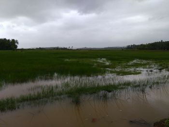 Scenic view of lake against sky