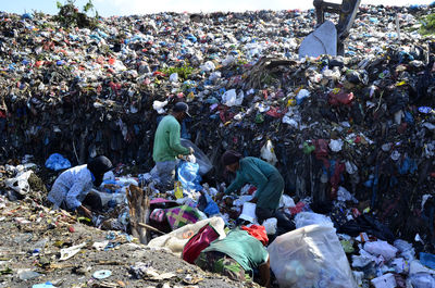 litter