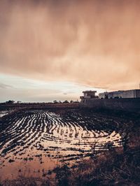 Scenic view of field against sky during sunset