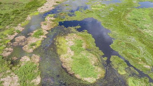 High angle view of water