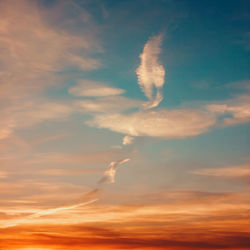 Low angle view of vapor trails in sky during sunset