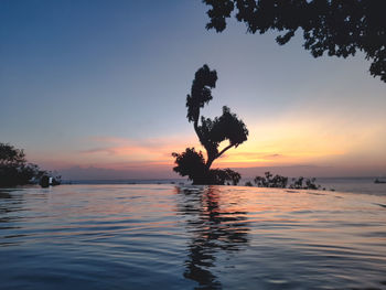 Silhouette tree by sea against sky during sunset