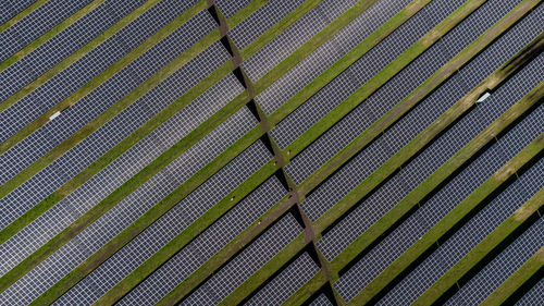 Solar panels at northern europas largest solar park near holstebro in denmark