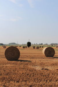 Scenic view of rural landscape