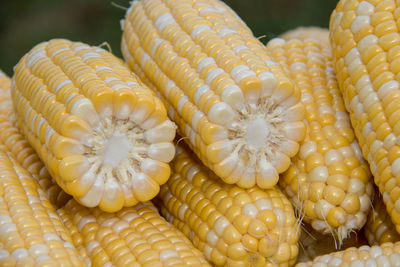 Close-up of corn