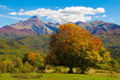 Scenic view of mountains against sky during autumn