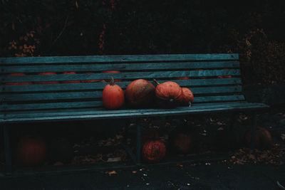 Pumpkins on bench at park