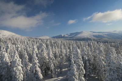 Panoramic view of snowcapped mountains against sky