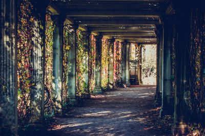 Colonnade in a garden