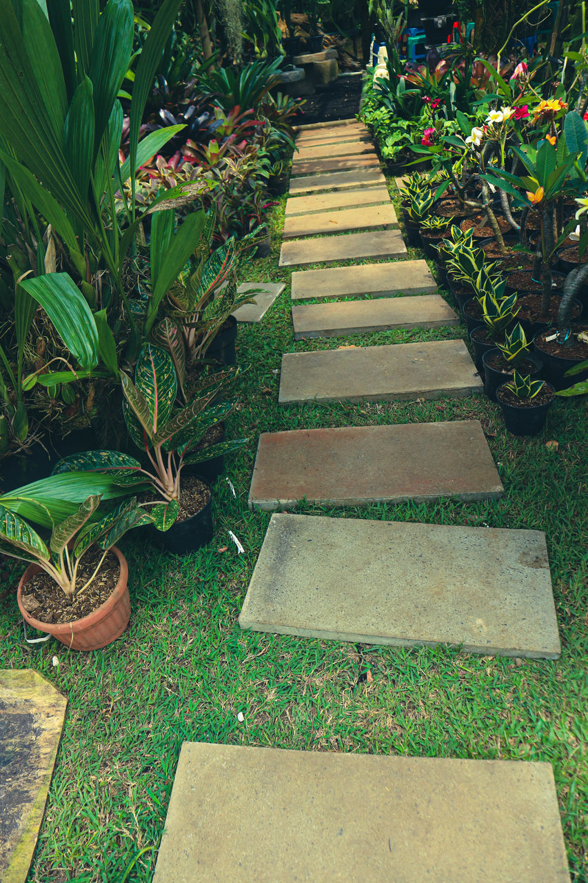 plant, reef, walkway, garden, green, growth, nature, lawn, no people, backyard, high angle view, footpath, grass, the way forward, day, yard, staircase, landscaping, outdoors, formal garden, garden path, beauty in nature, front or back yard, park, park - man made space, leaf, architecture, tranquility, grave