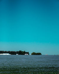 Scenic view of agricultural field against clear blue sky