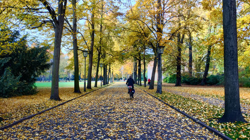 Rear view of people walking on footpath