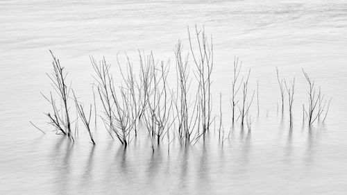 Scenic view of lake during winter