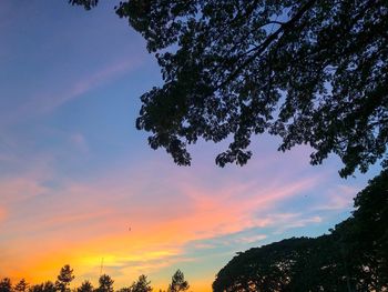 Low angle view of silhouette trees against sky at sunset