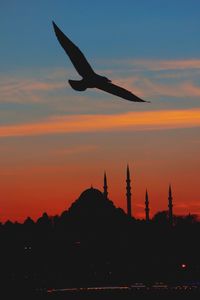 Silhouette bird flying against orange sky