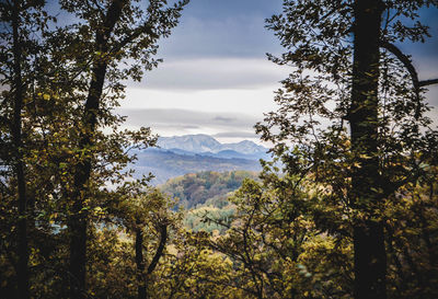 Mountain view, snowy peaks, rocks, highland, valley