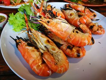 High angle view of seafood in plate