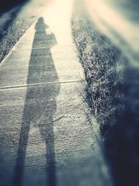 Close-up of shadow on road