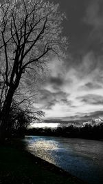 Bare trees against cloudy sky