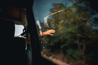 A hand reaching out through the window of a bus on a scenic journey, bathed in warm sunlight 