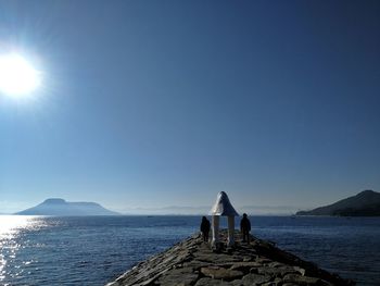 Rear view of people on sea against clear sky