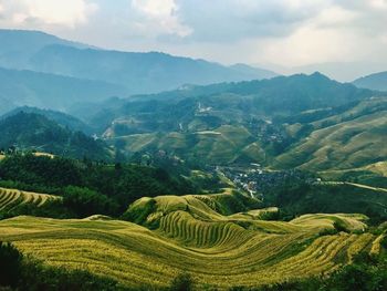 Scenic view of agricultural field against sky