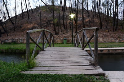 Footbridge amidst trees in forest