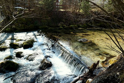 River flowing through rocks in forest