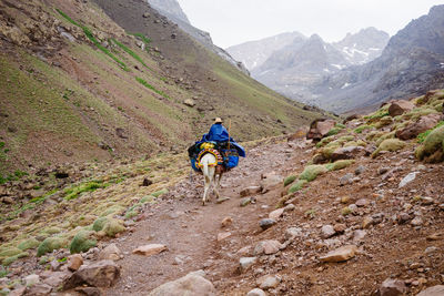 Rear view of man riding horse on mountain
