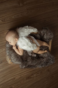 High angle view of cute baby lying on hardwood floor