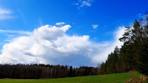 Panoramic shot of trees on field against sky