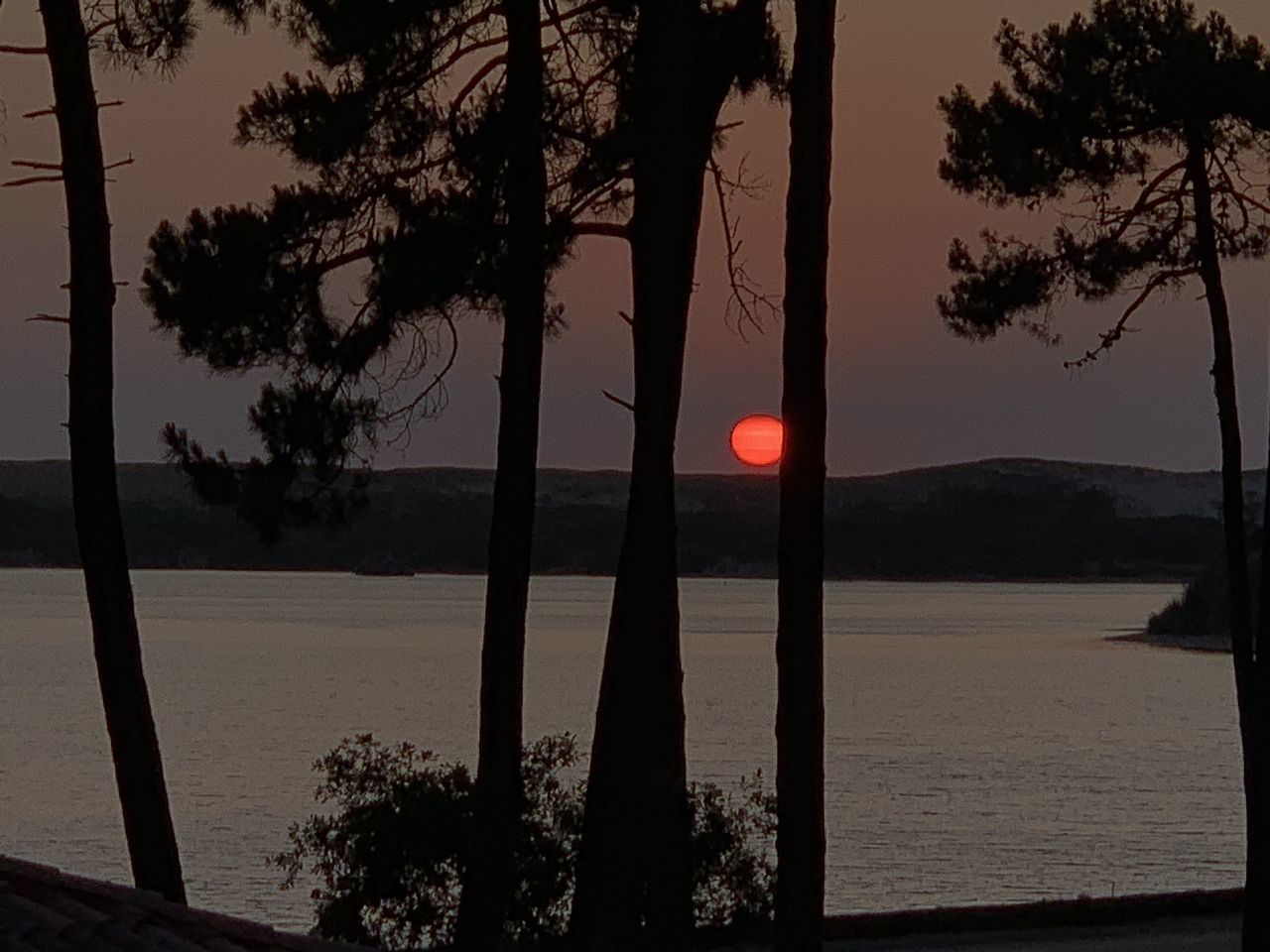 tree, sunset, silhouette, plant, sky, nature, evening, water, beauty in nature, dusk, tranquility, darkness, no people, scenics - nature, outdoors, beach, light, tranquil scene, reflection, land, sea, tree trunk, palm tree, sun, trunk, sunlight, tropical climate, cloud, travel destinations