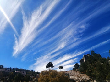 Trees on landscape against blue sky