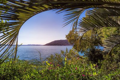 Scenic view of sea against clear sky