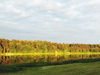 Scenic view of lake in forest against sky