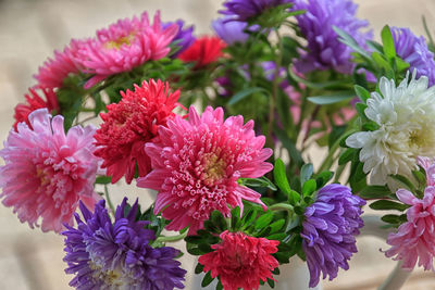 Close-up of pink flowering plants