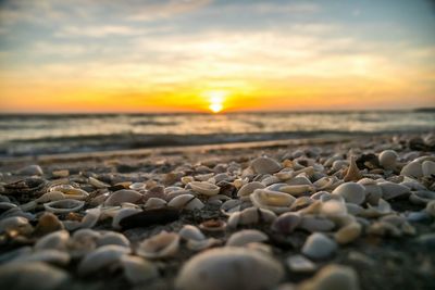 Scenic view of sea at sunset