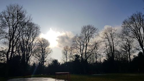 Bare trees against sky