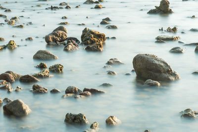 High angle view of rocks in sea