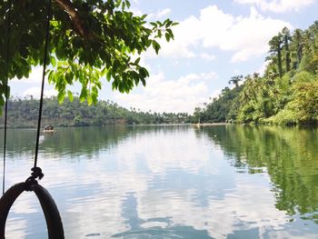 Reflection of trees in lake