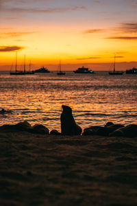 Silhouette people at beach against sky during sunset