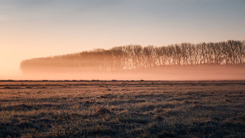 Scenic view of field against sky at sunset