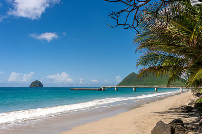 Scenic view of beach against blue sky