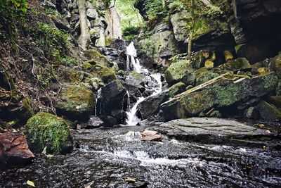 Scenic view of waterfall in forest